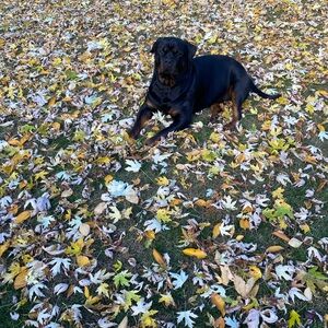 20$ UNLISTED ITEMS LISTING